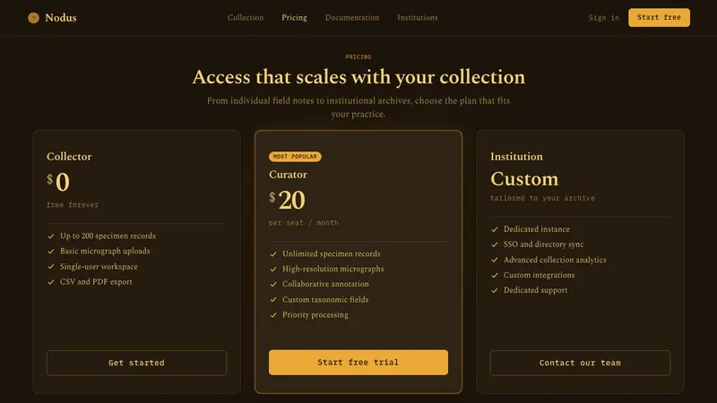 Amber Inclusion Specimen — Web · pricing