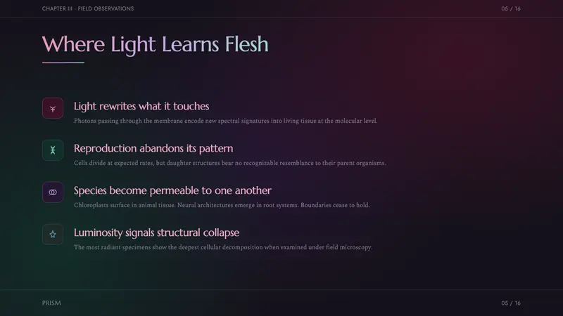 Annihilation (The Shimmer) — Slides · content
