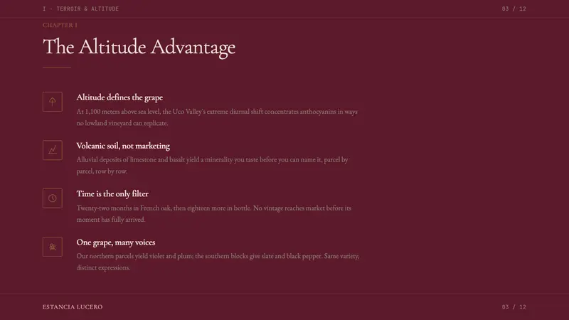Argentine Malbec Wine — Slides · content