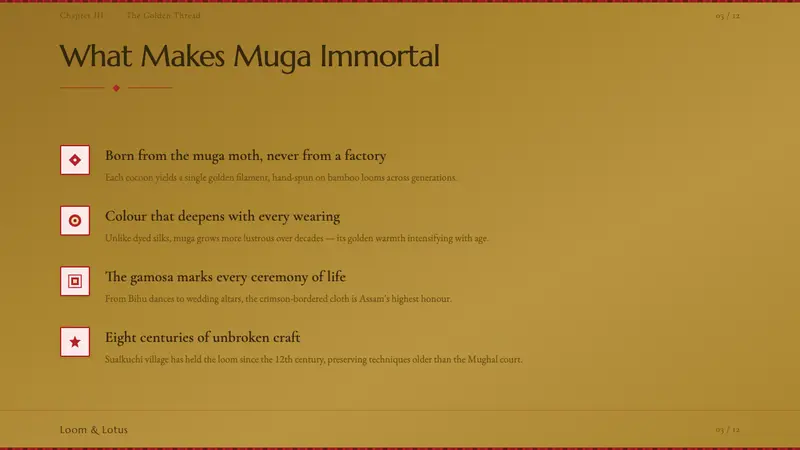 Assam Muga Silk & Gamosa — Slides · content