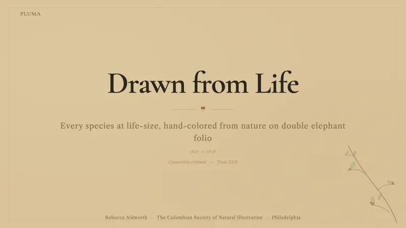 Audubon Birds of America — Slides · cover