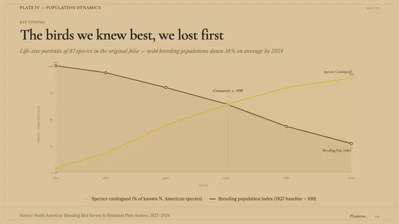 Audubon Birds of America — Slides · data