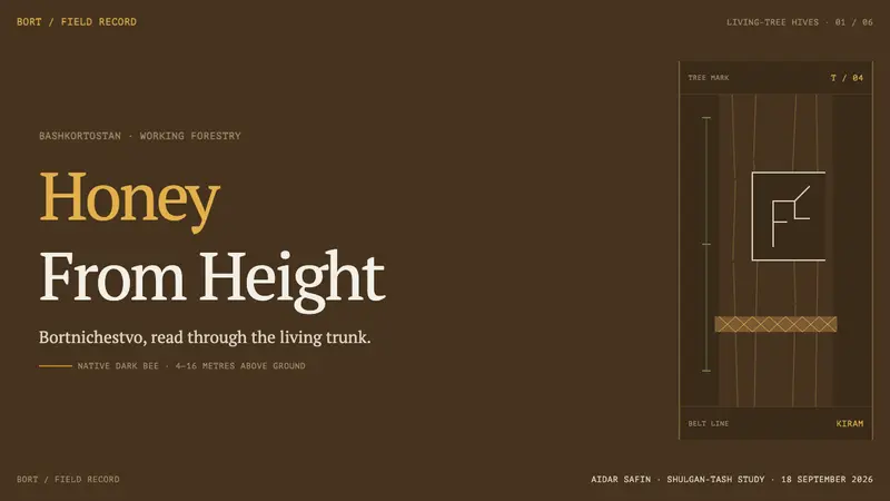 Bashkir Wild Honey — Slides · cover