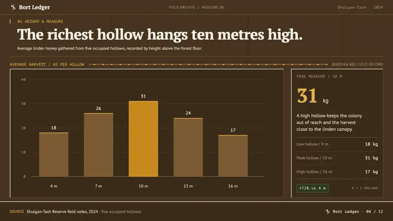 Bashkir Wild Honey — Slides · data