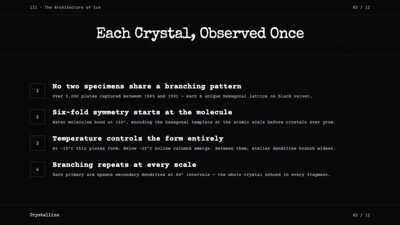Bentley Snowflake — Slides · content