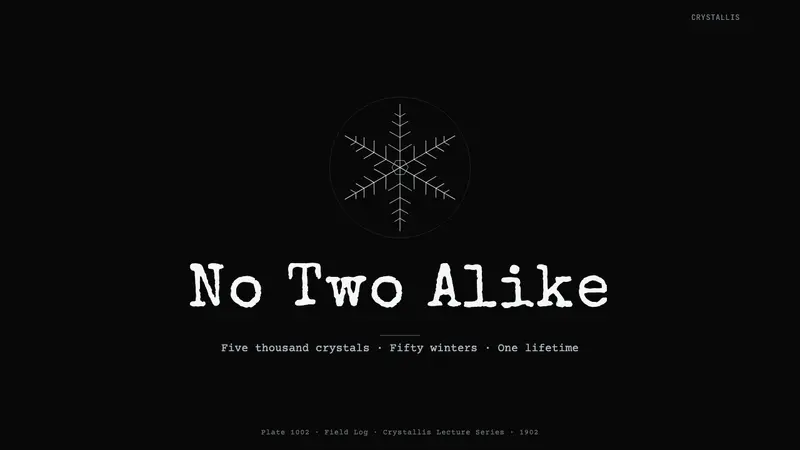 Bentley Snowflake — Slides · cover