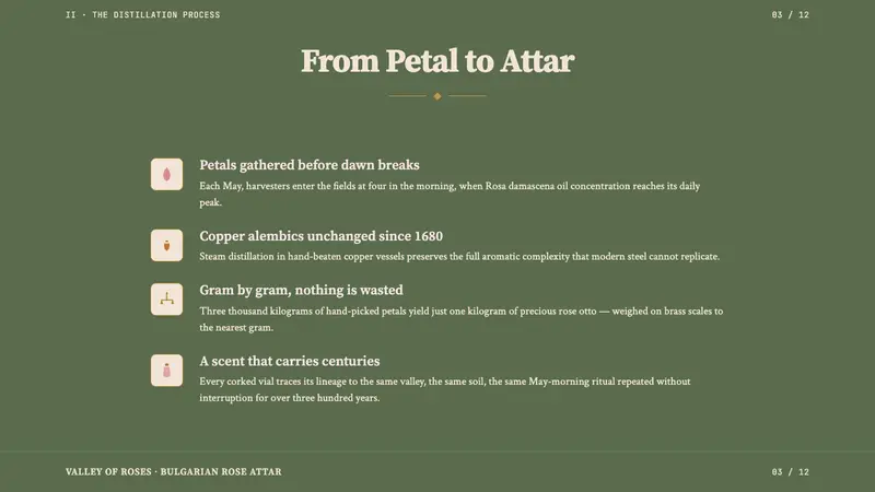 Bulgarian Rose Attar (Valley of Roses) — Slides · content