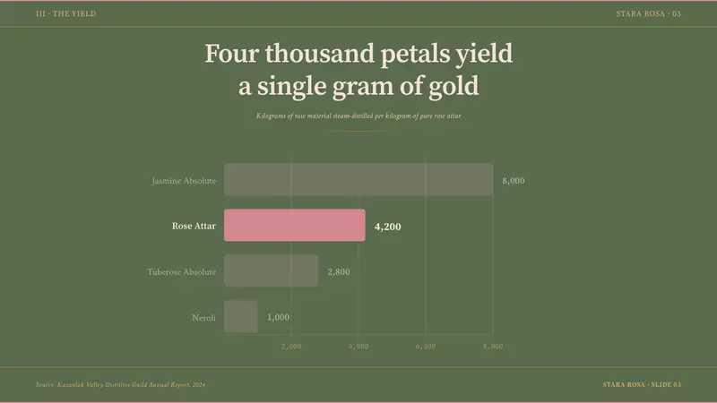 Bulgarian Rose Attar (Valley of Roses) — Slides · data