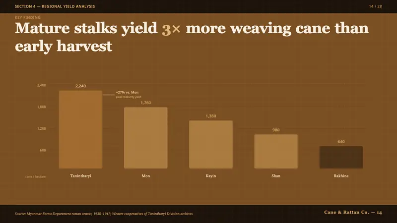 Burmese Cane Rattan — Slides · data