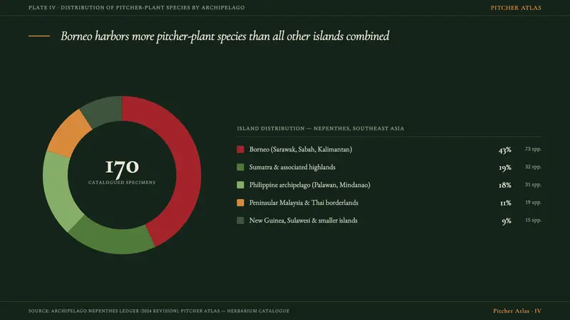 Carnivorous Pitcher Plant Plate — Slides · data