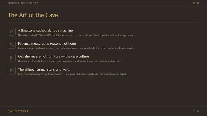 Cheese Affinage Cave — Slides · content