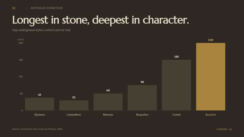 Cheese Affinage Cave — Slides · data