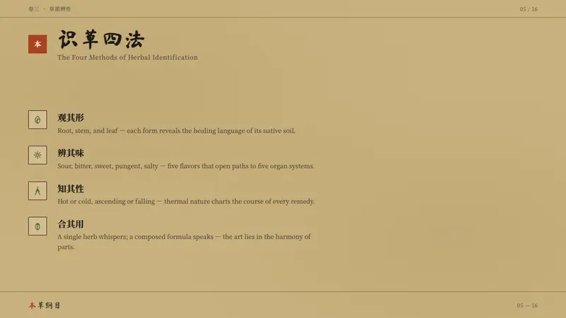 本草纲目 Herbal — Slides · content