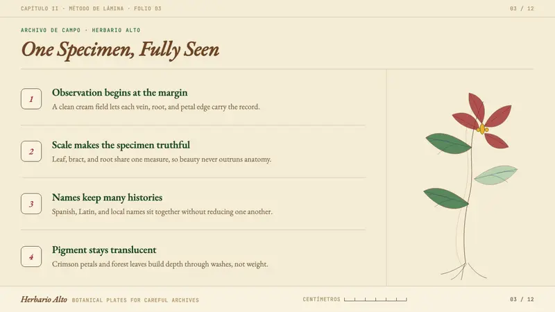 Colombian Botanical (Triana) — Slides · content