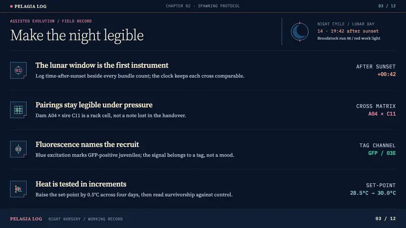 Coral Assisted Evolution — Slides · content