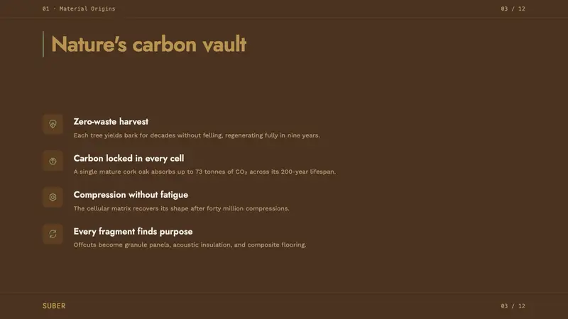 Portuguese Cork — Slides · content