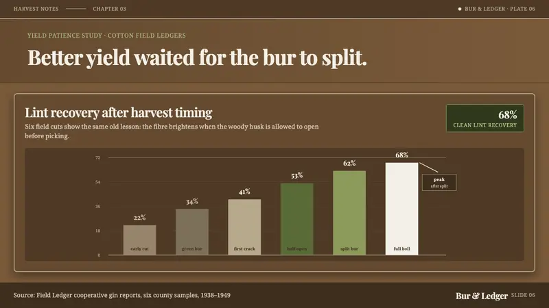 Cotton Boll Harvest — Slides · data
