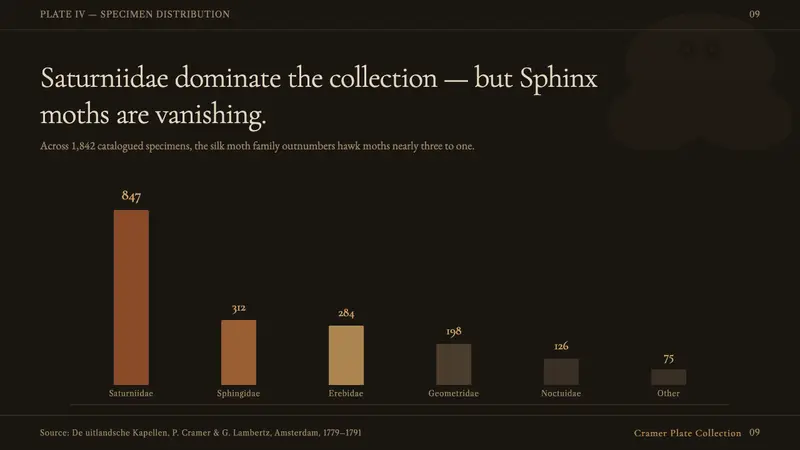 Cramer Exotic Moths — Slides · data