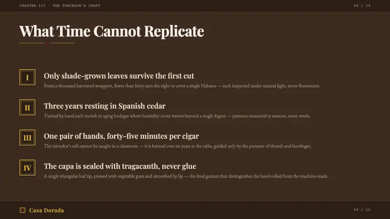 Cuban Habano Cigar — Slides · content