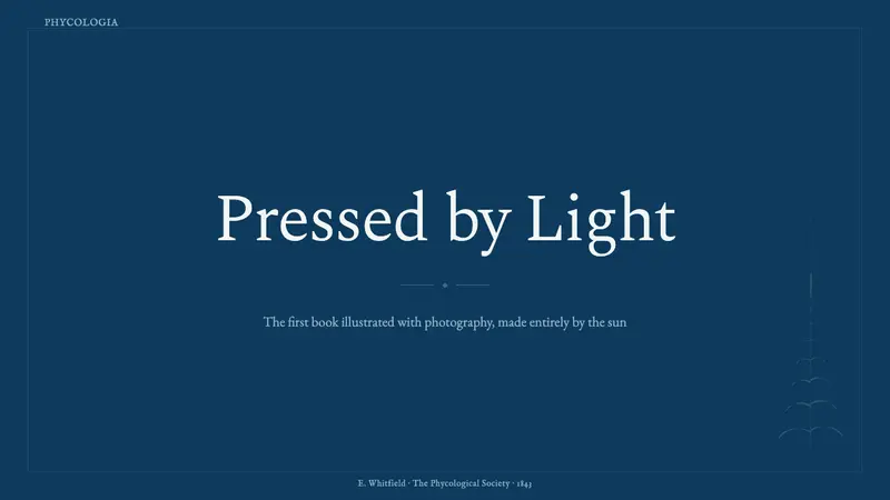 Anna Atkins Cyanotype — Slides · cover