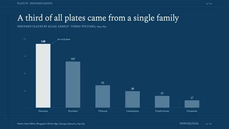 Anna Atkins Cyanotype — Slides · data