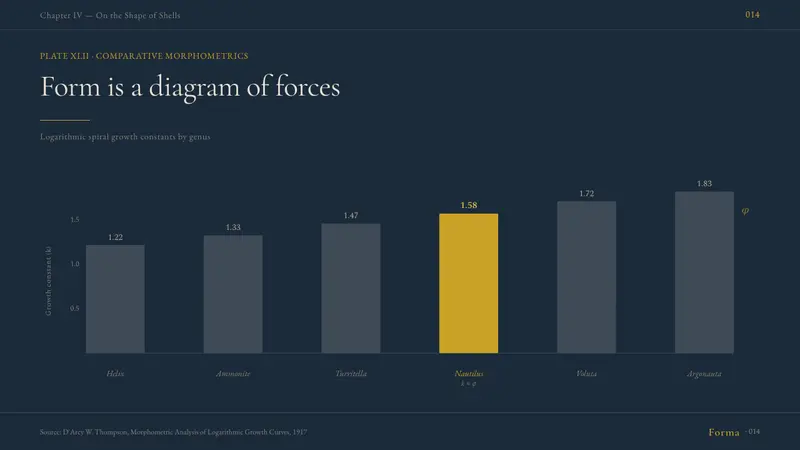 On Growth and Form — Slides · data
