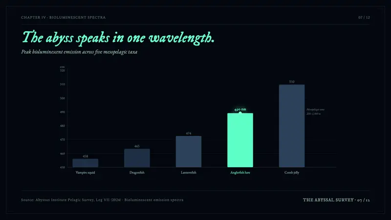 Anglerfish Lure Bioluminescence — Slides · data