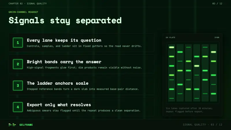 DNA Gel Electrophoresis — Slides · content