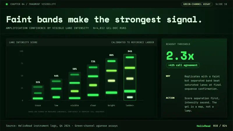 DNA Gel Electrophoresis — Slides · data