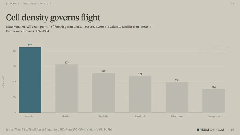 Dragonfly Wing Venation — Slides · data