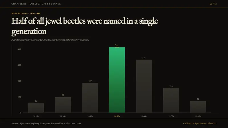 Beetle Specimen Cabinet — Slides · data