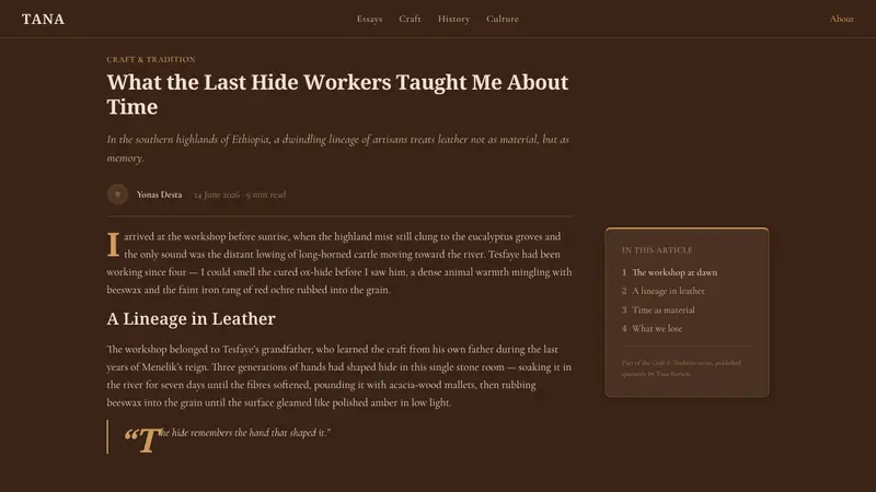 Ethiopian Hide Shield — Web · article
