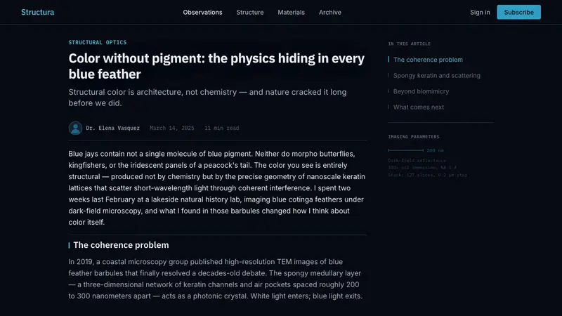 Feather Microscopy — Web · article