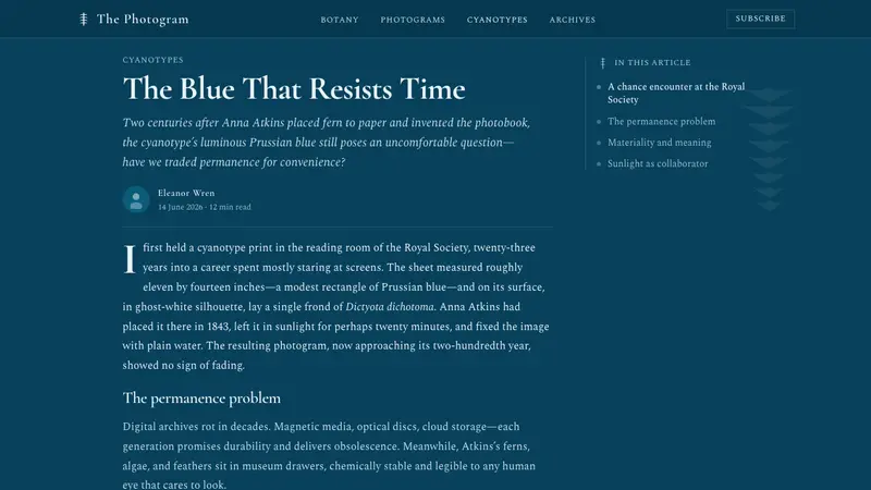 Fern Cyanotype — Web · article
