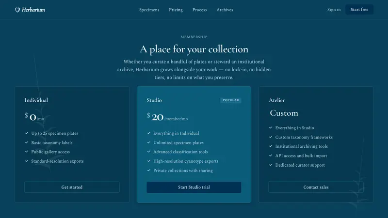 Fern Cyanotype — Web · pricing