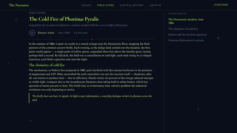 Firefly Bioluminescence — Web · article