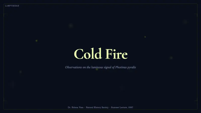 Firefly Bioluminescence — Slides · cover