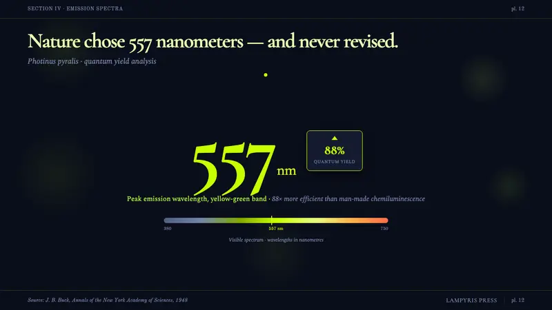 Firefly Bioluminescence — Slides · data