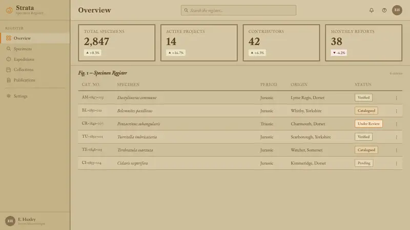 Ammonite Fossil Plate — Web · dashboard