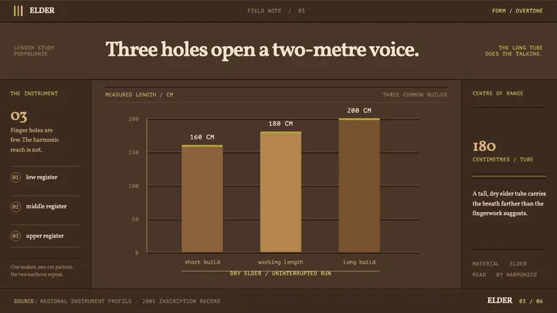 Fujara Flute — Slides · data