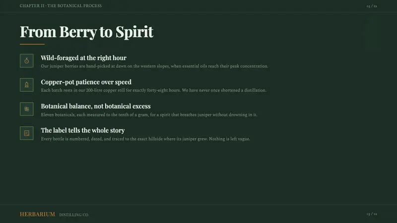 Gin Botanical — Slides · content