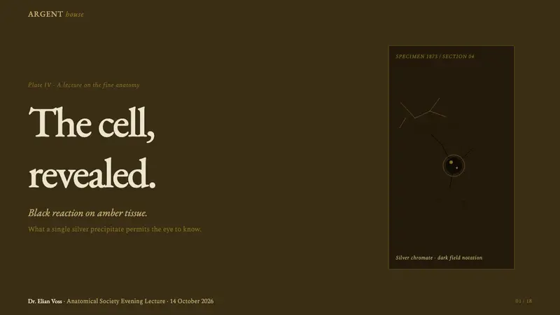 Golgi Neuron Silver Stain — Slides · cover
