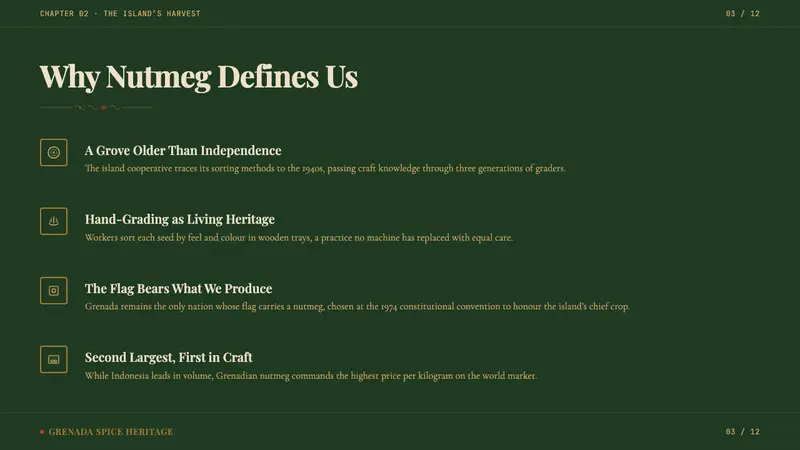Grenadian Spice & Nutmeg Flag — Slides · content
