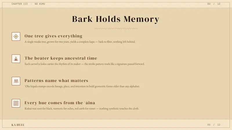 Hawaiian Kapa (Bark Cloth) — Slides · content