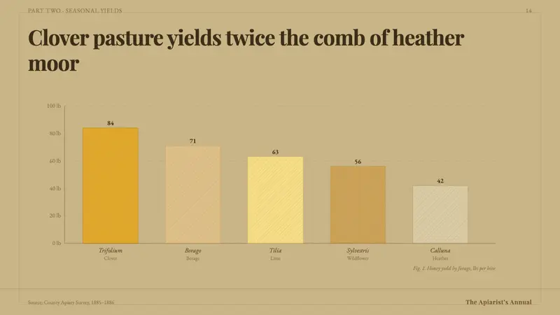 Honeybee Anatomy Plate — Slides · data