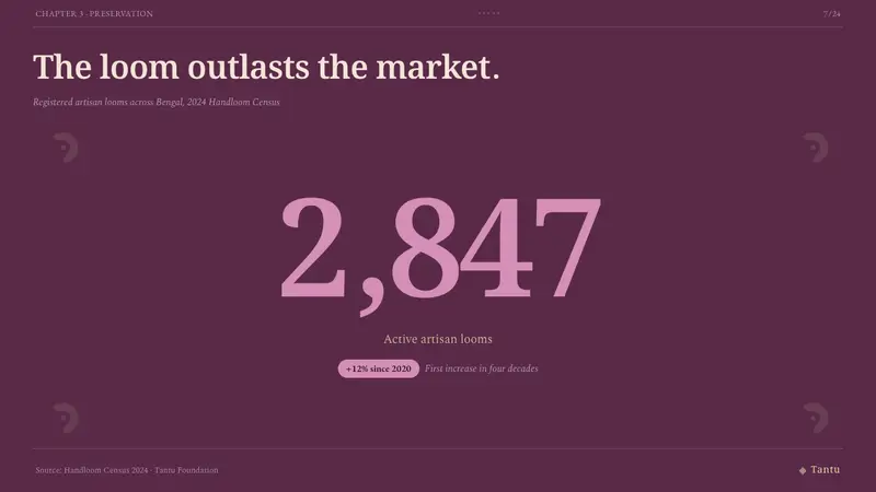 Indian Jamun Violet Handloom — Slides · data