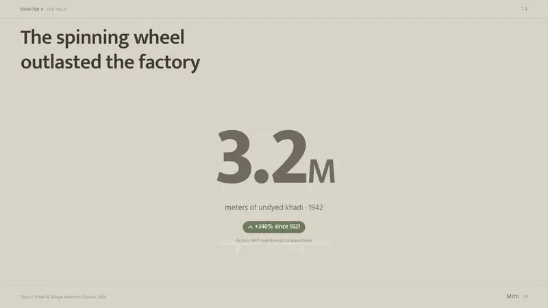 Undyed Khadi White — Slides · data