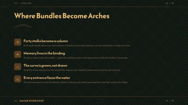Iraqi Marsh Arab Mudhif Reed — Slides · content