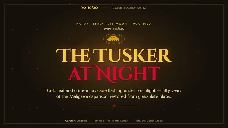 Kandy Esala Perahera — Slides · cover