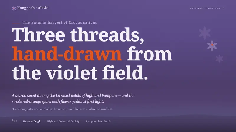 Kashmiri Crocus Purple — Slides · cover